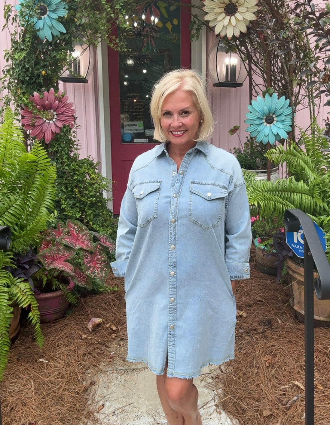 Gemi Denim Button Down Dress