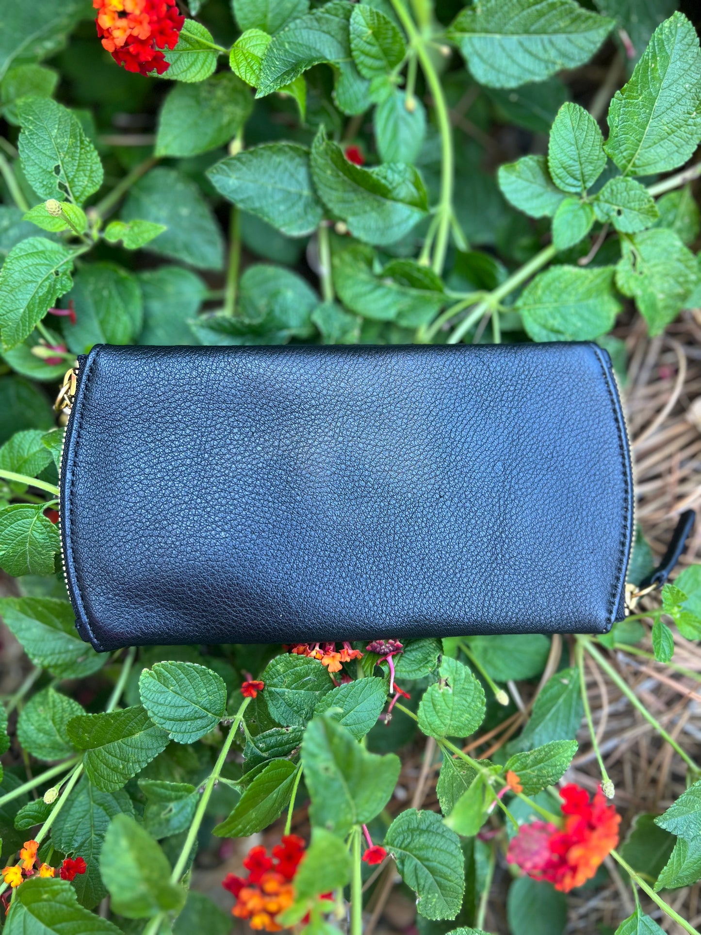 Hobo Spark Eye Glass Case in Black