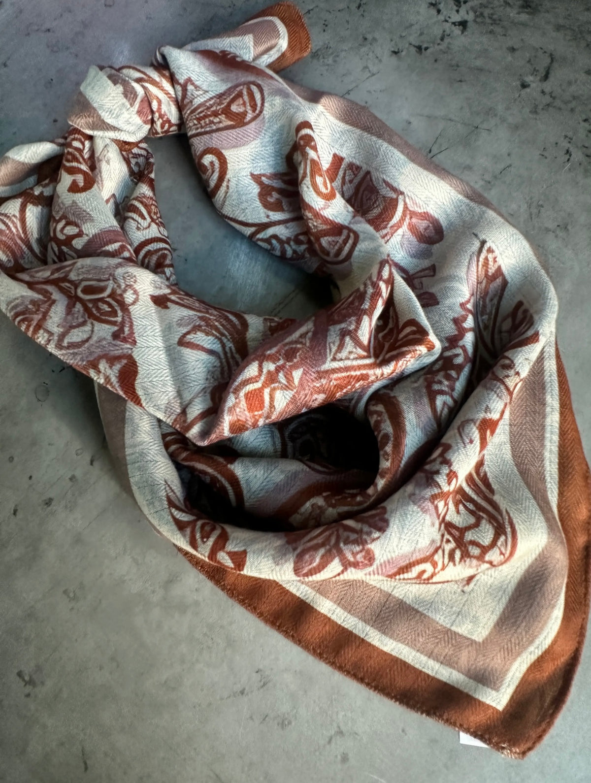 Paisley Wild Rag