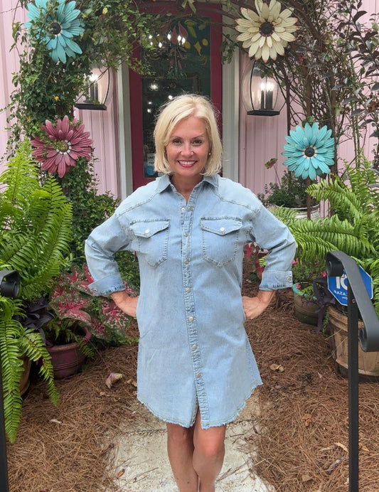 Gemi Denim Button Down Dress